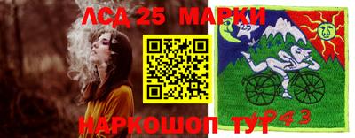 эйфоретик Славгород