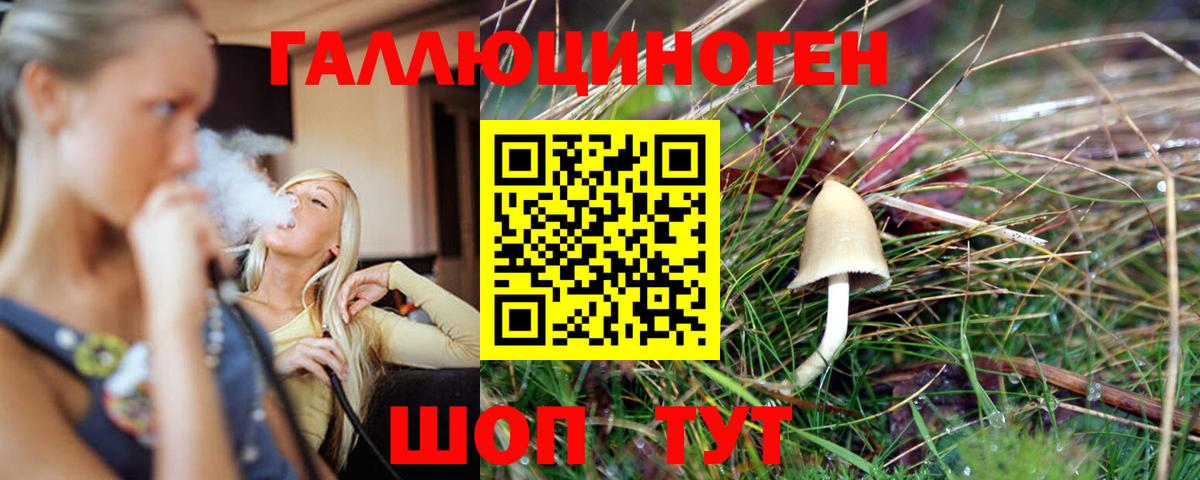 Галлюциногенные грибы Psilocybine cubensis  Галлюциногенные грибы прущие грибы  Орск  Вход с VPN 