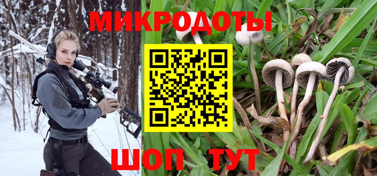 Псилоцибиновые грибы Psilocybine cubensis Орск